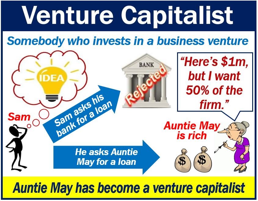 Venture Capitalists